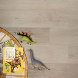 04851 Riante plank pepermunt 2