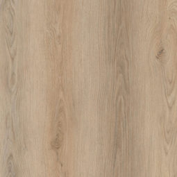 DM-304-PL Eternity close up