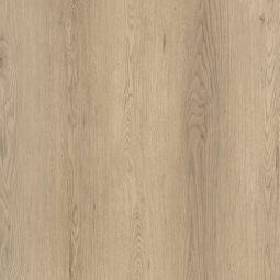 DM-307-PL Luciano close up
