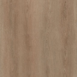 Canyon oak 201 PL close up
