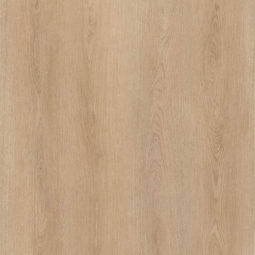 Desert oak 207 PL close up