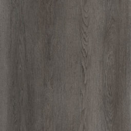 Havanna oak 203 PL close up