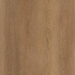 Valley oak 206 PL close up